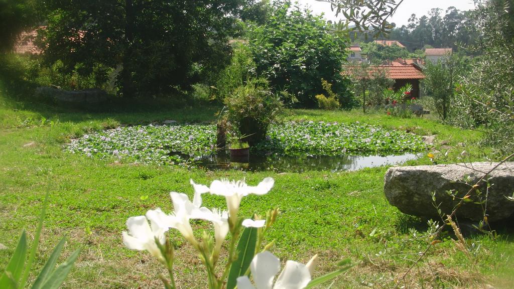 Quinta Do Riacho Villa Póvoa de Lanhoso Exteriör bild